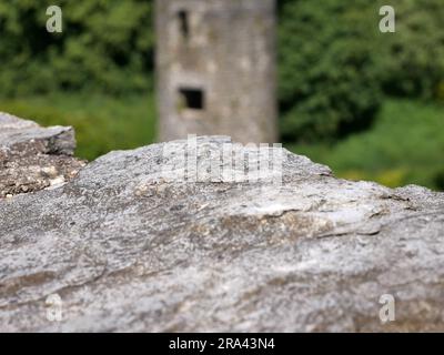 Ancienne pierre sur le fond de la tour antique, château de Blarney en Irlande, ancienne forteresse celtique Banque D'Images