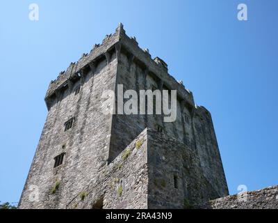 Arrière-plan de la tour antique, château de Blarney en Irlande, forteresse celtique Banque D'Images