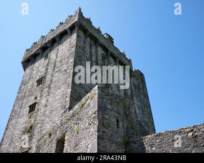 Arrière-plan de la tour antique, château de Blarney en Irlande, forteresse celtique Banque D'Images