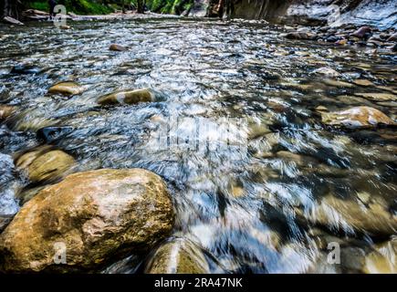 Randonnée dans les Narrows dans la rivière Virgin dans le parc national de Zion Banque D'Images