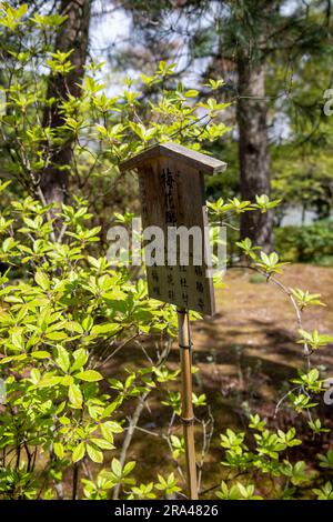 Kyoto, japon, les jardins du Temple Tenryu-ji au printemps 2023, avec azalées et rhododendrons en fleurs de printemps, jardin japonais, Asie Banque D'Images