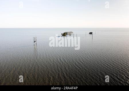 Les ranchs inondés et le matériel agricole couvrent une vaste étendue de la vallée centrale de Californie. Le lac Tulare était autrefois le plus grand plan d'eau douce de l'Ouest américain. Il s’est asséché il y a un siècle après que ses affluents aient été damés, dikés et détournés et que le lit du lac ait été converti en une des terres agricoles les plus fertiles et productives de Californie. En 2023, le lac Tulare a fait une réapparition surprise après un hiver de pluies exceptionnellement fortes, inondant quelque 180 000 kilomètres carrés de terres agricoles dans la vallée centrale. Les experts croient qu'il faudra peut-être deux ou trois ans pour que les eaux inondées se soient retirées. Banque D'Images