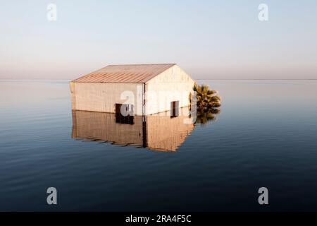 Les ranchs inondés et le matériel agricole couvrent une vaste étendue de la vallée centrale de Californie. Le lac Tulare était autrefois le plus grand plan d'eau douce de l'Ouest américain. Il s’est asséché il y a un siècle après que ses affluents aient été damés, dikés et détournés et que le lit du lac ait été converti en une des terres agricoles les plus fertiles et productives de Californie. En 2023, le lac Tulare a fait une réapparition surprise après un hiver de pluies exceptionnellement fortes, inondant quelque 180 000 kilomètres carrés de terres agricoles dans la vallée centrale. Les experts croient qu'il faudra peut-être deux ou trois ans pour que les eaux inondées se soient retirées. Banque D'Images