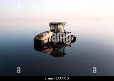 Les ranchs inondés et le matériel agricole couvrent une vaste étendue de la vallée centrale de Californie. Le lac Tulare était autrefois le plus grand plan d'eau douce de l'Ouest américain. Il s’est asséché il y a un siècle après que ses affluents aient été damés, dikés et détournés et que le lit du lac ait été converti en une des terres agricoles les plus fertiles et productives de Californie. En 2023, le lac Tulare a fait une réapparition surprise après un hiver de pluies exceptionnellement fortes, inondant quelque 180 000 kilomètres carrés de terres agricoles dans la vallée centrale. Les experts croient qu'il faudra peut-être deux ou trois ans pour que les eaux inondées se soient retirées. Banque D'Images