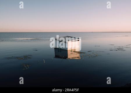 Les ranchs inondés et le matériel agricole couvrent une vaste étendue de la vallée centrale de Californie. Le lac Tulare était autrefois le plus grand plan d'eau douce de l'Ouest américain. Il s’est asséché il y a un siècle après que ses affluents aient été damés, dikés et détournés et que le lit du lac ait été converti en une des terres agricoles les plus fertiles et productives de Californie. En 2023, le lac Tulare a fait une réapparition surprise après un hiver de pluies exceptionnellement fortes, inondant quelque 180 000 kilomètres carrés de terres agricoles dans la vallée centrale. Les experts croient qu'il faudra peut-être deux ou trois ans pour que les eaux inondées se soient retirées. Banque D'Images