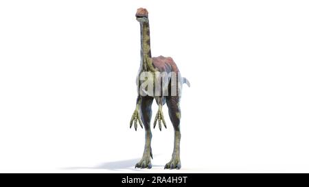 Archéornithomimus dinosaure, illustration Banque D'Images