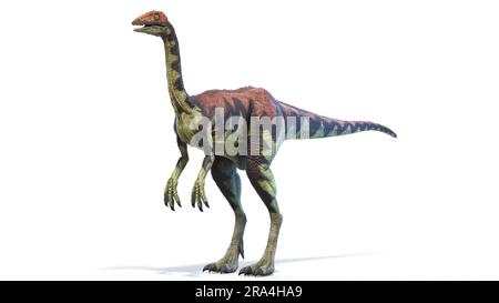 Archéornithomimus dinosaure, illustration Banque D'Images
