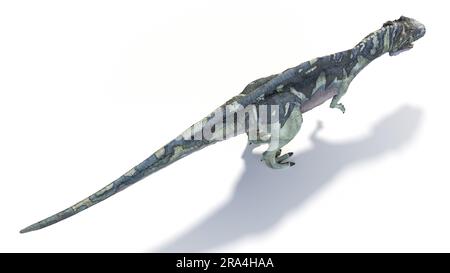 Acrocanthosaurus dinosaure, illustration Banque D'Images