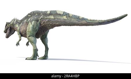 Acrocanthosaurus dinosaure, illustration Banque D'Images