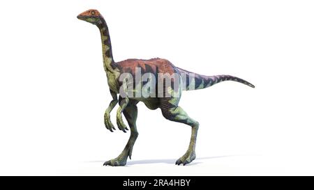 Archéornithomimus dinosaure, illustration Banque D'Images