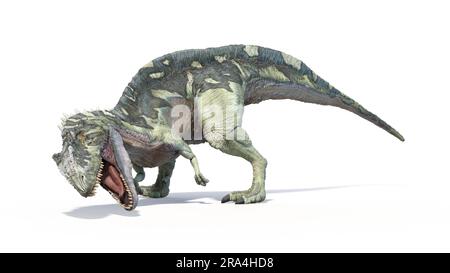 Acrocanthosaurus dinosaure, illustration Banque D'Images