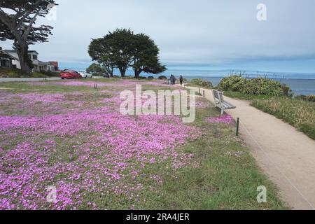 Photo aérienne de Lovers point à Monterey, Californie Banque D'Images