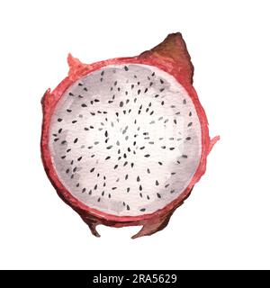 Illustration aquarelle d'un demi-fruit dragon. Pitaya. Mise en plan aquarelle. Isoler dessin pour la conception de souvenirs, cartes postales, affiches et invita Banque D'Images