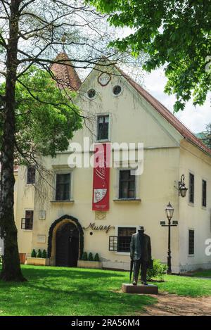 Samobor Croatie - 01 juin 2023 : monument d'Ivica Sudnik, l'un des plus grands habitants de Samobor, et musée de la ville de Samobor. Banque D'Images