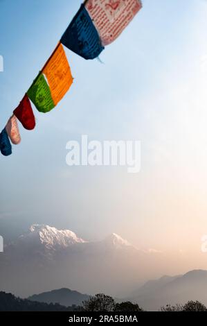 Un paysage autour du Camp australien, une célèbre route de trekking située dans la chaîne de montagnes Annapurna près de la ville de Pokhara, Népal. Banque D'Images