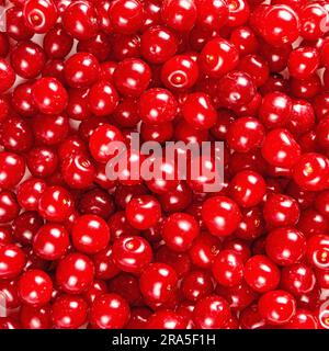 Le fond de la nourriture des baies mûres de cerises aigres vue de dessus de près. Banque D'Images