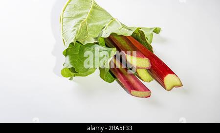 Une alimentation saine. Tiges de rhubarbe enveloppées dans une feuille sur fond blanc. Banque D'Images