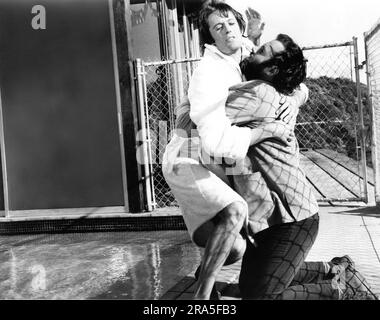 PETER FONDA et BRUCE DERN dans 'le tout premier ''psychédélique'' film d'Hollywood' THE TRIP 1967 réalisateur ROGER CORMAN deuxième directeur d'unité Dennis Hopper écrivain Jack Nicholson design de production Michel Levesque direction de l'art Leon Ericksen musique d'Electric Flag (AS the American Music Band) Présentateurs Samuel Z. Arkoff et James H. Nicholson American International Pictures (AIP) Banque D'Images