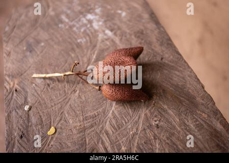 Annatto, annatto ou onoto, est un pigment naturel rouge jaunâtre, qui est extrait des graines de Bixa orellana, un arbuste originaire de l'Amérique tropicale. Banque D'Images