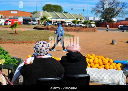 Agriculteurs biologiques dans la province du Limpopo le jour du marché Banque D'Images