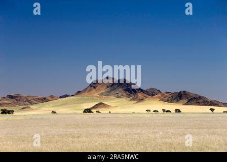 Paysage de steppe, sur la C27 près de Sesriem, Namibie Banque D'Images