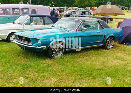 Une Ford Mustang V8 289 construite en 1968 lors d'un rallye de véhicules d'époque au Royaume-Uni Banque D'Images