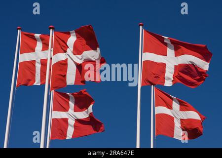 Drapeaux nationaux danois, parc de fleurs et de loisirs Jesperhus Blomsterpark, île de Mors, Jutland, parc de fleurs, Danemark Banque D'Images