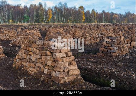 Allemagne, Goldenstedter Moor, Basse-Saxe, matière première, extraction de tourbe, tourbe, empilée Banque D'Images