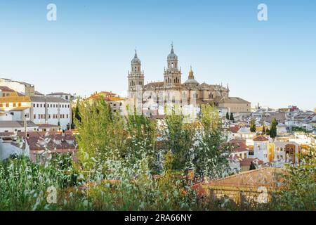 Jaen vue sur la ville avec la cathédrale de Jaen - Jaen, Espagne Banque D'Images