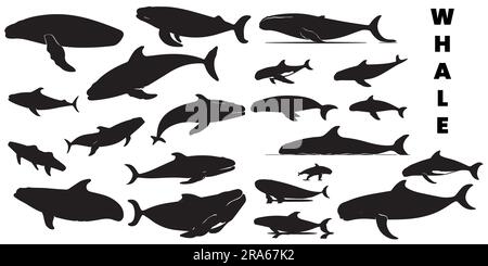 Une illustration vectorielle de silhouette de baleine Illustration de Vecteur