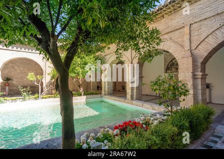 Cour de l'église la Magdalena - ancienne cour d'ablutions de la mosquée - Jaen, Espagne Banque D'Images