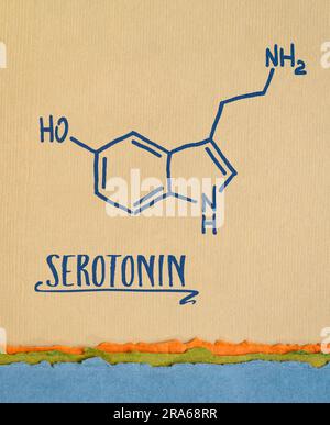 la structure chimique de la molécule de sérotonine, l'un des produits chimiques du bonheur du cerveau - croquis brut sur papier d'art, la santé, la chimie et le concept physiologique Banque D'Images