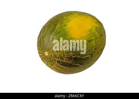 Melon entier doux mûr avec une peau craquelée isolée sur blanc. Cucumis melo fruit vert foncé au poivre avec champ jaune. Banque D'Images