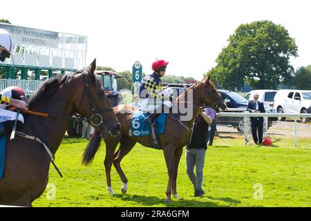 Jockey Graham Lee sur Ryoto à l'hippodrome de York. Banque D'Images