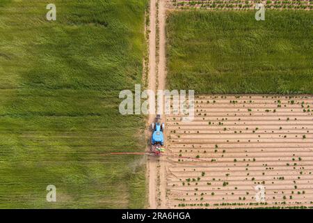 Image aérienne du tracteur pulvérisant du sol et des jeunes cultures au printemps dans le champ Banque D'Images