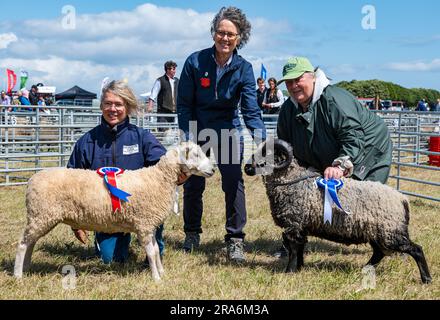 East Lothian, Écosse, Royaume-Uni, 1 juillet 2023. Haddington Agricultural Show : l'événement a lieu depuis 1804. Les participants ont apprécié une journée ensoleillée. Sur la photo : gagnants des moutons Shetland. Crédit : Sally Anderson/Alamy Live News Banque D'Images