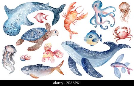 Aquarelle illustrations d'animaux marins sous-marins pieuvre, hippocampe, crabe, étoiles de mer, méduse. Habitants marins du monde sous-marin. Banque D'Images