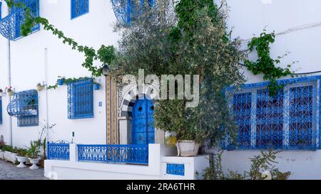 Portes colorées sur les rues de Tunisie, vieilles portes en bleu, belles rues tunisiennes blanches, fenêtres et portes bleues, visites guidées à Tunis Banque D'Images