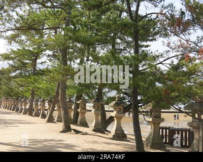 Une ligne d'arbres et une rangée de lanternes traditionnelles en pierre se trouvent sur le bord de la plage du Shinto Shrine d'Itsukushima, sur l'île de Miyajima, au Japon. Banque D'Images