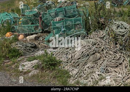 pots de homard abandonnés et corde sur l'herbe près du port Banque D'Images
