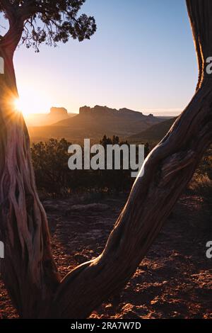 Le soleil se lève et crée une explosion d'étoiles sur le tronc d'arbre texturé avec les célèbres formations rocheuses rouges de Sedona presque dans la silhouette au loin. Banque D'Images