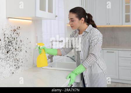 Femme dans des gants en caoutchouc en utilisant le détachant de moule sur le mur dans la cuisine Banque D'Images