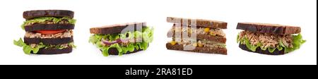 Collage de différents délicieux sandwiches avec thon sur fond blanc Banque D'Images