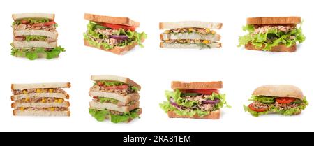 Collage de différents délicieux sandwiches avec thon sur fond blanc Banque D'Images