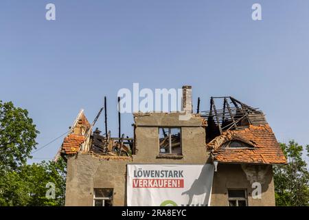 Une maison résidentielle en ruine sur la route près de Ruessen-Kleinstorkwitz, Saxe, Allemagne Banque D'Images