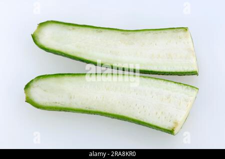 Gourd, Gourd éponge de légumes, Luffa, Luffa égyptien, Luffa lisse, Loofah égyptien Banque D'Images