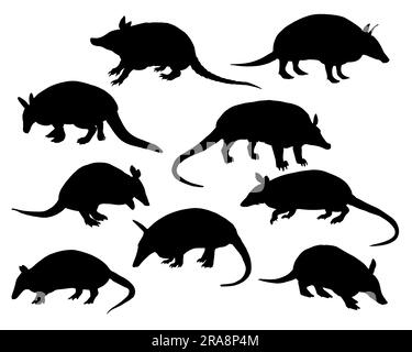 Ensemble de silhouette d'Armadillo Illustration de Vecteur