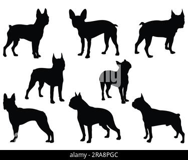 Ensemble de Boston Terrier Dog Silhouette Illustration de Vecteur