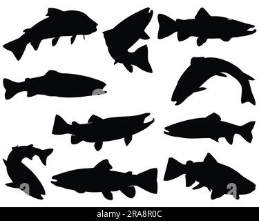 Ensemble de dessins vectoriels en silhouette de poisson-truite sur fond blanc Illustration de Vecteur