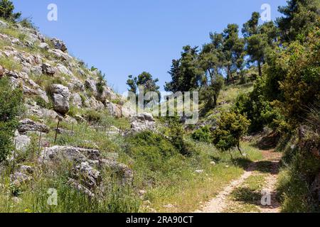 Le Mont Meron est une montagne de la haute Galilée en Israël. Elle a une importance particulière dans la tradition religieuse juive et certaines parties de celle-ci ont été d Banque D'Images